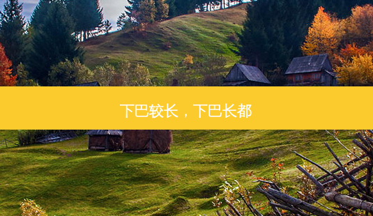 下巴较长,下巴长都-第1张图片-吾爱整形网 下巴较长,下巴长都-第1张图片-吾爱整形网