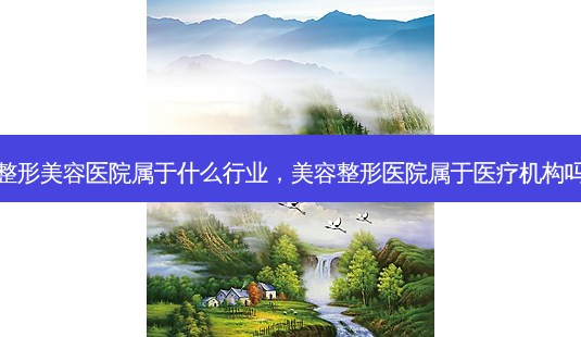 整形美容医院属于什么行业,美容整形医院属于医疗机构吗-第1张图片-吾爱整形网 整形美容医院属于什么行业,美容整形医院属于医疗机构吗-第1张图片-吾爱整形网