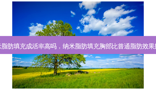 纳米脂肪填充成活率高吗,纳米脂肪填充胸部比普通脂肪效果好吗-第1张图片-吾爱整形网 纳米脂肪填充成活率高吗,纳米脂肪填充胸部比普通脂肪效果好吗-第1张图片-吾爱整形网