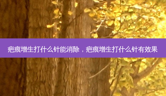 疤痕增生打什么针能消除,疤痕增生打什么针有效果-第1张图片-吾爱整形网 疤痕增生打什么针能消除,疤痕增生打什么针有效果-第1张图片-吾爱整形网