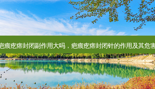 疤痕疙瘩封闭副作用大吗,疤痕疙瘩封闭针的作用及其危害-第1张图片-吾爱整形网 疤痕疙瘩封闭副作用大吗,疤痕疙瘩封闭针的作用及其危害-第1张图片-吾爱整形网