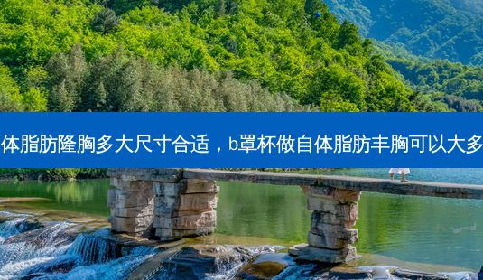 自体脂肪隆胸多大尺寸合适,b罩杯做自体脂肪丰胸可以大多少-第1张图片-吾爱整形网 自体脂肪隆胸多大尺寸合适,b罩杯做自体脂肪丰胸可以大多少-第1张图片-吾爱整形网