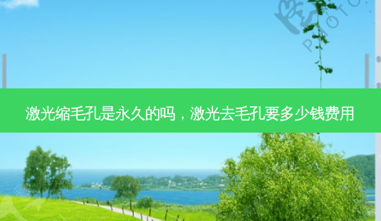 激光缩毛孔是永久的吗,激光去毛孔要多少钱费用-第1张图片-吾爱整形网 激光缩毛孔是永久的吗,激光去毛孔要多少钱费用-第1张图片-吾爱整形网