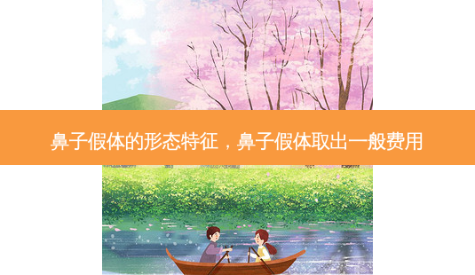 鼻子假体的形态特征,鼻子假体取出一般费用-第1张图片-吾爱整形网 鼻子假体的形态特征,鼻子假体取出一般费用-第1张图片-吾爱整形网