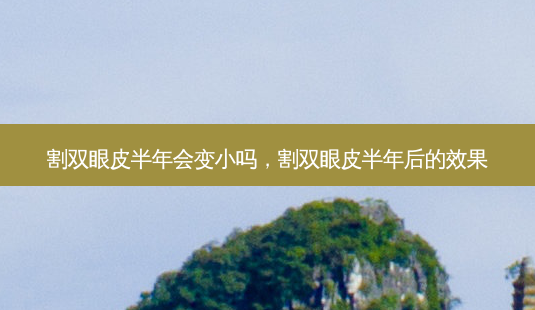 割双眼皮半年会变小吗,割双眼皮半年后的效果-第1张图片-吾爱整形网 割双眼皮半年会变小吗,割双眼皮半年后的效果-第1张图片-吾爱整形网