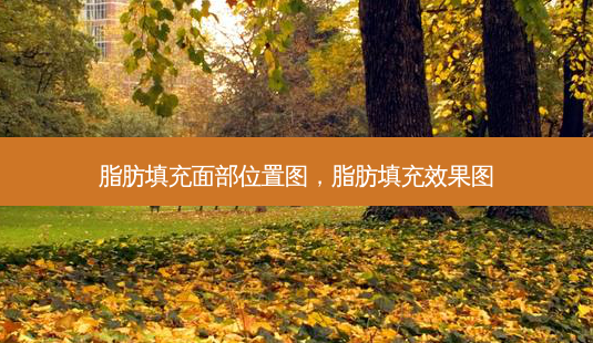 脂肪填充面部位置图,脂肪填充效果图-第1张图片-吾爱整形网 脂肪填充面部位置图,脂肪填充效果图-第1张图片-吾爱整形网