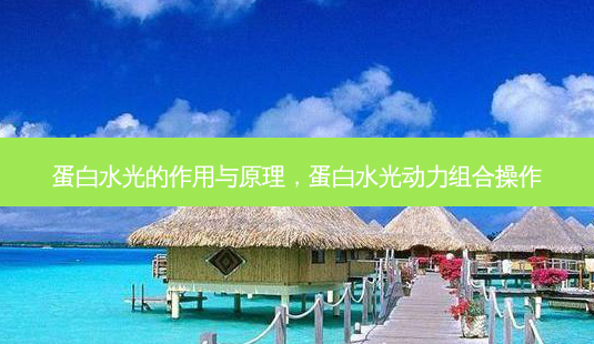 蛋白水光的作用与原理,蛋白水光动力组合操作-第1张图片-吾爱整形网 蛋白水光的作用与原理,蛋白水光动力组合操作-第1张图片-吾爱整形网