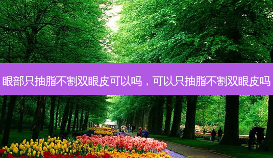 眼部只抽脂不割双眼皮可以吗,可以只抽脂不割双眼皮吗-第1张图片-吾爱整形网 眼部只抽脂不割双眼皮可以吗,可以只抽脂不割双眼皮吗-第1张图片-吾爱整形网