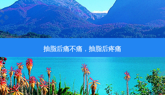 抽脂后痛不痛,抽脂后疼痛-第1张图片-吾爱整形网 抽脂后痛不痛,抽脂后疼痛-第1张图片-吾爱整形网
