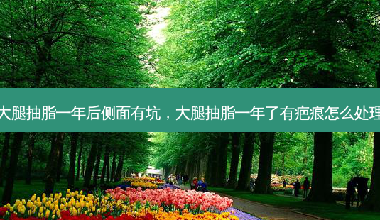 大腿抽脂一年后侧面有坑,大腿抽脂一年了有疤痕怎么处理-第1张图片-吾爱整形网 大腿抽脂一年后侧面有坑,大腿抽脂一年了有疤痕怎么处理-第1张图片-吾爱整形网