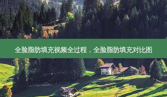 全脸脂肪填充视频全过程,全脸脂肪填充对比图-第1张图片-吾爱整形网 全脸脂肪填充视频全过程,全脸脂肪填充对比图-第1张图片-吾爱整形网
