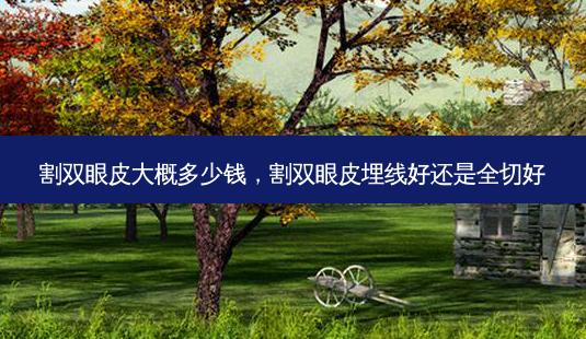 割双眼皮大概多少钱,割双眼皮埋线好还是全切好-第1张图片-吾爱整形网 割双眼皮大概多少钱,割双眼皮埋线好还是全切好-第1张图片-吾爱整形网