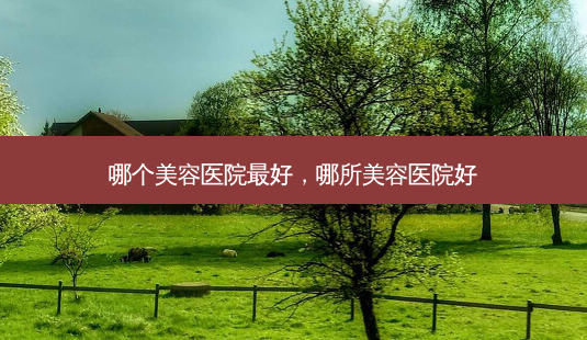 哪个美容医院最好,哪所美容医院好-第1张图片-吾爱整形网 哪个美容医院最好,哪所美容医院好-第1张图片-吾爱整形网