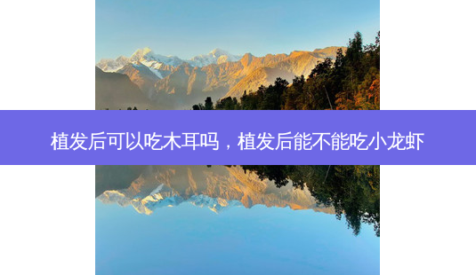 植发后可以吃木耳吗,植发后能不能吃小龙虾-第1张图片-吾爱整形网 植发后可以吃木耳吗,植发后能不能吃小龙虾-第1张图片-吾爱整形网