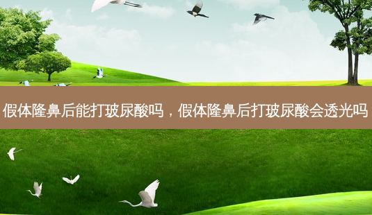 假体隆鼻后能打玻尿酸吗,假体隆鼻后打玻尿酸会透光吗-第1张图片-吾爱整形网 假体隆鼻后能打玻尿酸吗,假体隆鼻后打玻尿酸会透光吗-第1张图片-吾爱整形网