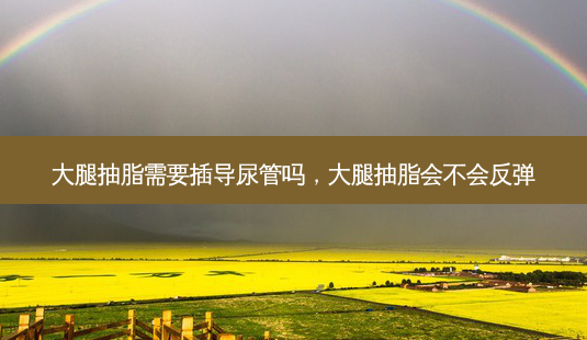 大腿抽脂需要插导尿管吗,大腿抽脂会不会反弹-第1张图片-吾爱整形网 大腿抽脂需要插导尿管吗,大腿抽脂会不会反弹-第1张图片-吾爱整形网