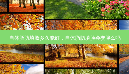 自体脂肪填脸多久能好,自体脂肪填脸会变胖么吗-第1张图片-吾爱整形网 自体脂肪填脸多久能好,自体脂肪填脸会变胖么吗-第1张图片-吾爱整形网