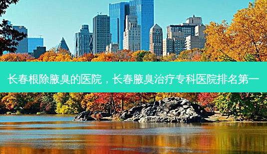 长春根除腋臭的医院,长春腋臭治疗专科医院排名第一-第1张图片-吾爱整形网 长春根除腋臭的医院,长春腋臭治疗专科医院排名第一-第1张图片-吾爱整形网