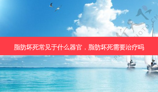 脂肪坏死常见于什么器官,脂肪坏死需要治疗吗-第1张图片-吾爱整形网 脂肪坏死常见于什么器官,脂肪坏死需要治疗吗-第1张图片-吾爱整形网