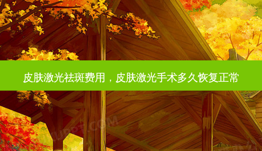 皮肤激光祛斑费用,皮肤激光手术多久恢复正常-第1张图片-吾爱整形网 皮肤激光祛斑费用,皮肤激光手术多久恢复正常-第1张图片-吾爱整形网