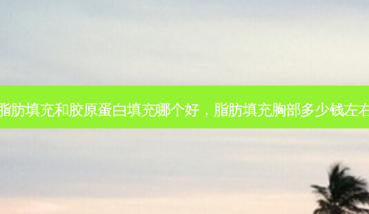 脂肪填充和胶原蛋白填充哪个好,脂肪填充胸部多少钱左右-第1张图片-吾爱整形网 脂肪填充和胶原蛋白填充哪个好,脂肪填充胸部多少钱左右-第1张图片-吾爱整形网