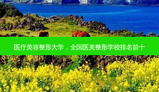 医疗美容整形大学,全国医美整形学校排名前十-第1张图片-吾爱整形网 医疗美容整形大学,全国医美整形学校排名前十-第1张图片-吾爱整形网