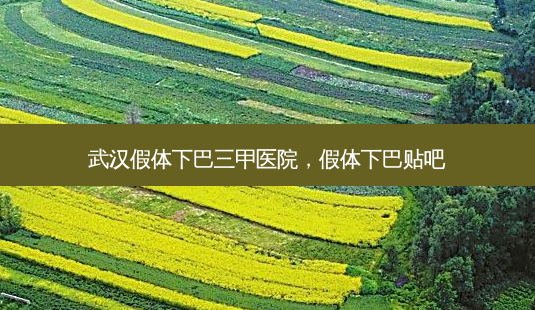 武汉假体下巴三甲医院,假体下巴贴吧-第1张图片-吾爱整形网 武汉假体下巴三甲医院,假体下巴贴吧-第1张图片-吾爱整形网