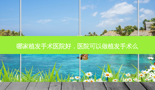 哪家植发手术医院好,医院可以做植发手术么-第1张图片-吾爱整形网 哪家植发手术医院好,医院可以做植发手术么-第1张图片-吾爱整形网