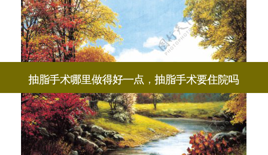 抽脂手术哪里做得好一点,抽脂手术要住院吗-第1张图片-吾爱整形网 抽脂手术哪里做得好一点,抽脂手术要住院吗-第1张图片-吾爱整形网