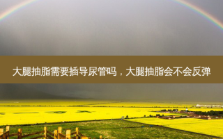 大腿抽脂需要插导尿管吗，大腿抽脂会不会反弹