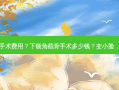 下颌角截骨手术费用？下颌角截骨手术多少钱？变小脸，价格全解析