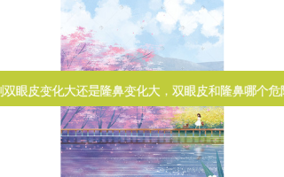 割双眼皮变化大还是隆鼻变化大，双眼皮和隆鼻哪个危险