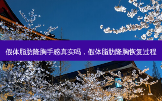 假体脂肪隆胸手感真实吗，假体脂肪隆胸恢复过程