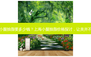上海小腿抽脂要多少钱？上海小腿抽脂价格探讨，让美并不遥远