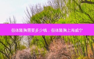 假体隆胸需要多少钱，假体隆胸上海威宁