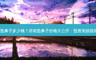 济南垫鼻子多少钱？济南垫鼻子价格大公开：投资美丽值得吗?