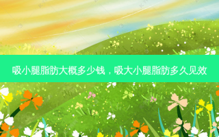 吸小腿脂肪大概多少钱，吸大小腿脂肪多久见效