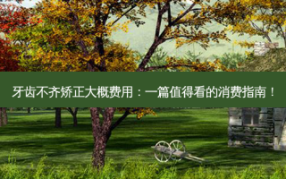 牙齿不齐矫正大概费用：一篇值得看的消费指南！