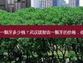 武汉拔智齿一颗牙多少钱？武汉拔智齿一颗牙的价格，你猜对了吗？