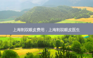上海割双眼皮费用，上海割双眼皮医生