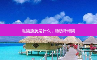 眶隔脂肪是什么，脂肪纤维隔