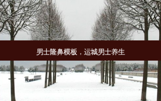 男士隆鼻模板，运城男士养生