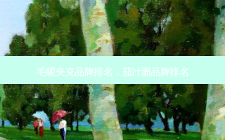 毛呢夹克品牌排名，茄汁面品牌排名