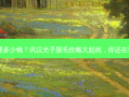武汉光子脱毛要多少钱？武汉光子脱毛价格大起底，你还在被蒙在鼓里吗？