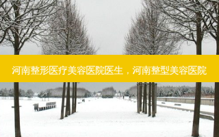 河南整形医疗美容医院医生，河南整型美容医院