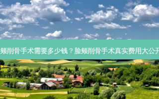 脸颊削骨手术需要多少钱？脸颊削骨手术真实费用大公开！