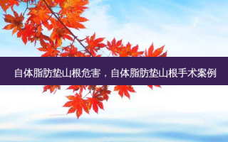 自体脂肪垫山根危害，自体脂肪垫山根手术案例