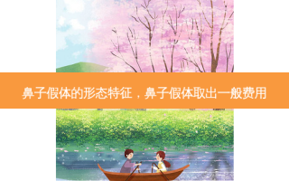 鼻子假体的形态特征，鼻子假体取出一般费用