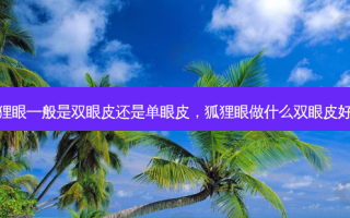 狐狸眼一般是双眼皮还是单眼皮，狐狸眼做什么双眼皮好看