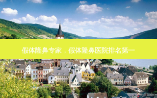 假体隆鼻专家，假体隆鼻医院排名第一